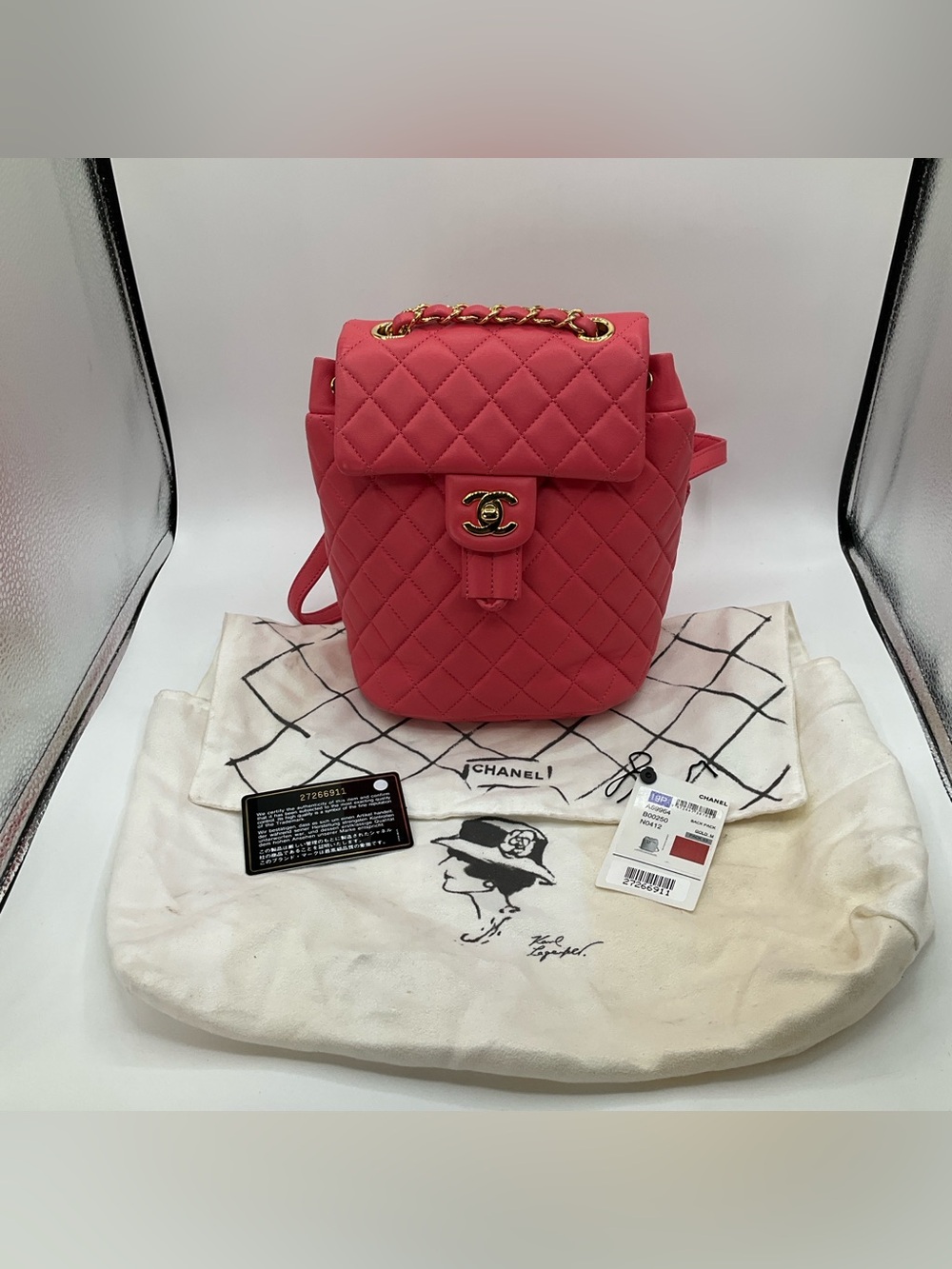 Chanel Urban Spirit Backpack Quilted Lambskin Mini in Pink - With Dustbag